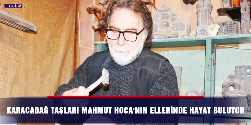 Karacadağ taşları Mahmut Hoca'nın ellerinde hayat buluyor