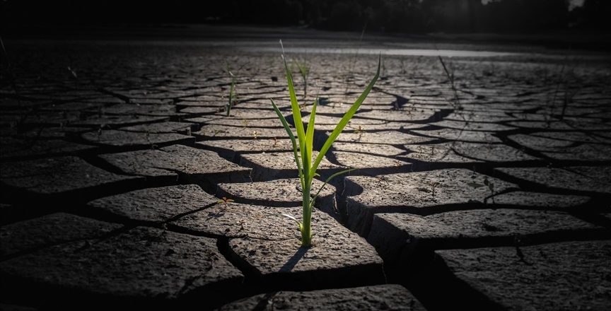 “Her dört canlıdan biri yok olma tehlikesiyle karşı karşıya”