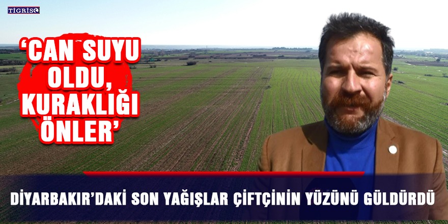 VİDEO - Diyarbakır’daki son yağışlar çiftçinin yüzünü güldürdü