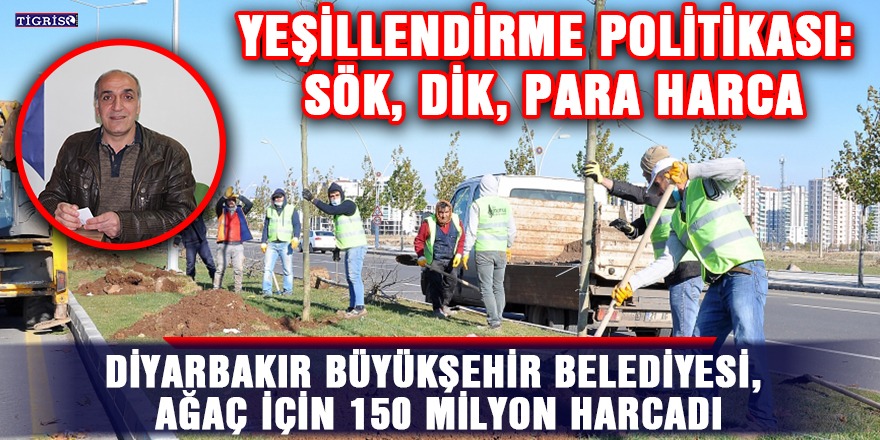 Diyarbakır Büyükşehir Belediyesi, ağaç için 150 milyon harcadı