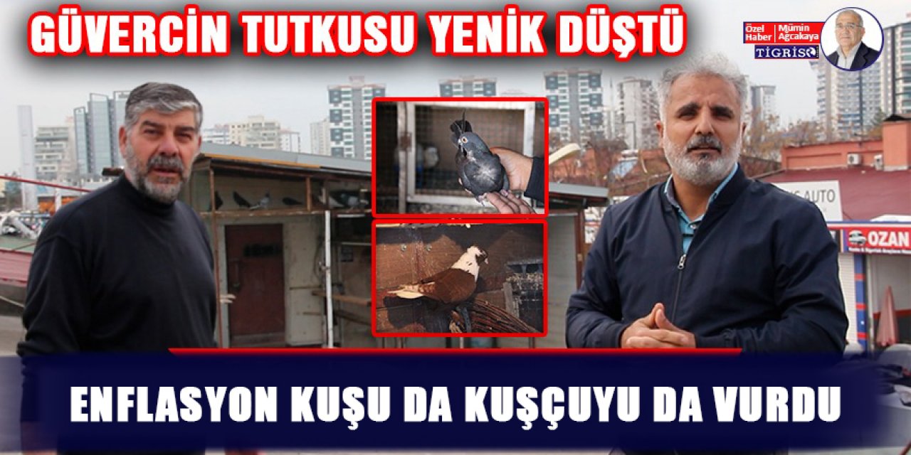 VİDEO - Enflasyon kuşu da kuşçuyu da vurdu