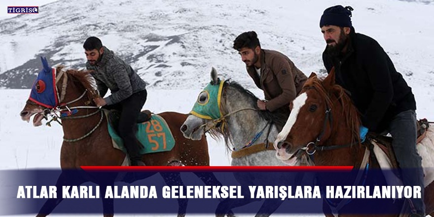 Atlar karlı alanda geleneksel yarışlara hazırlanıyor