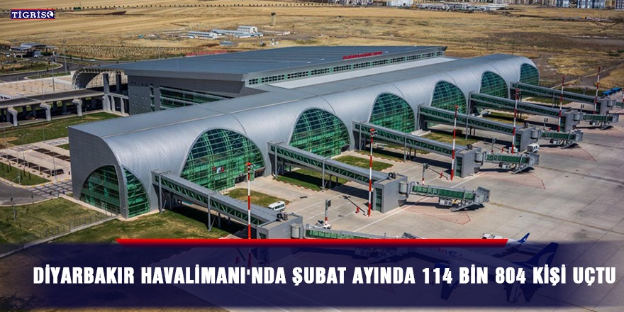 Diyarbakır Havalimanı'nda şubat ayında 114 bin 804 kişi uçtu