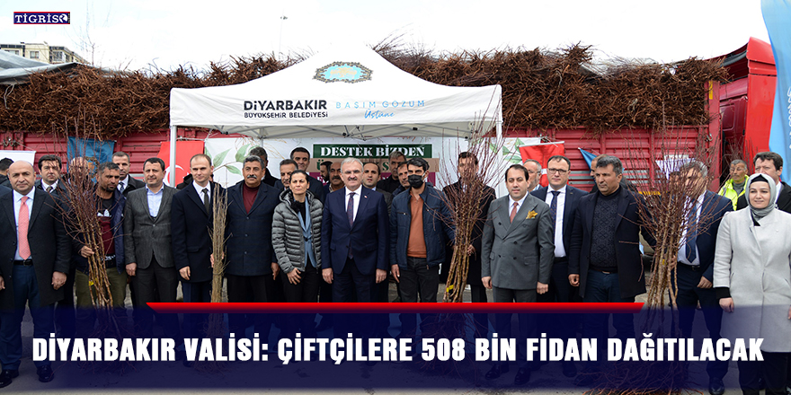 Diyarbakır Valisi: Çiftçilere 508 bin fidan dağıtılacak