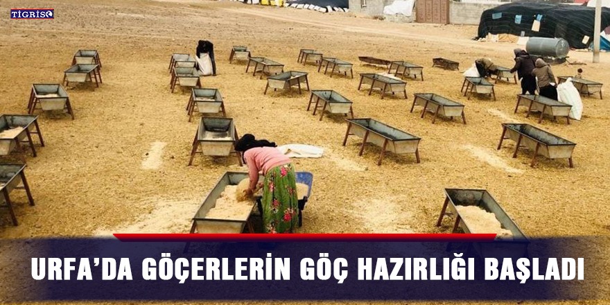 Urfa’da göçerlerin göç hazırlığı başladı