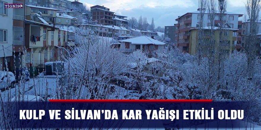 Kulp ve Silvan’da kar yağışı etkili oldu