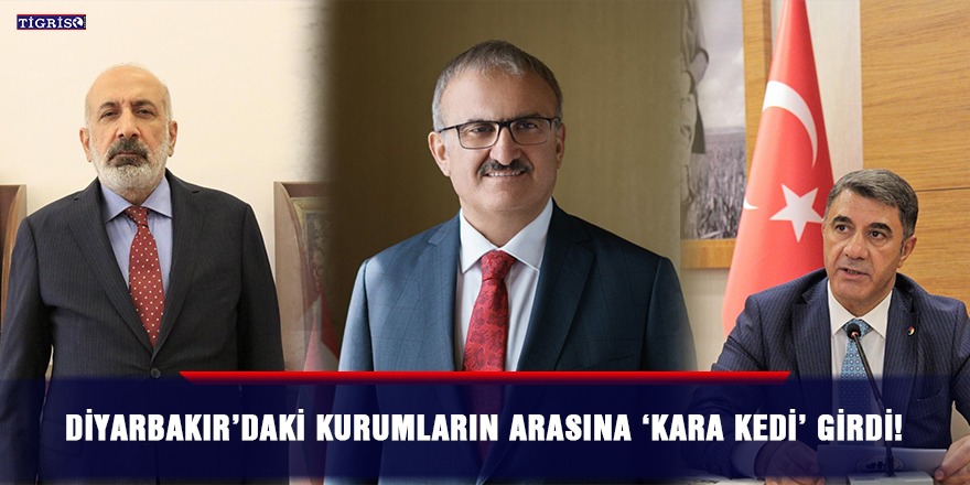 Diyarbakır’daki kurumların arasına ‘kara kedi’ girdi!