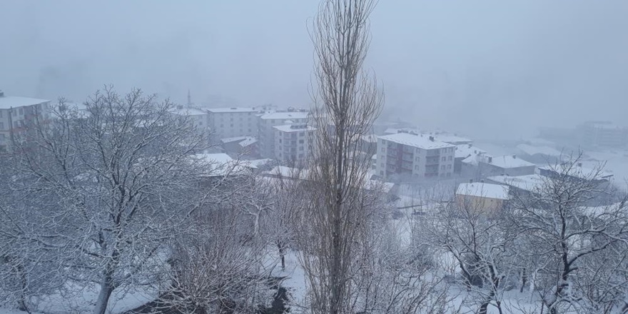 Kulp’ta yoğun kar, okullar tatil