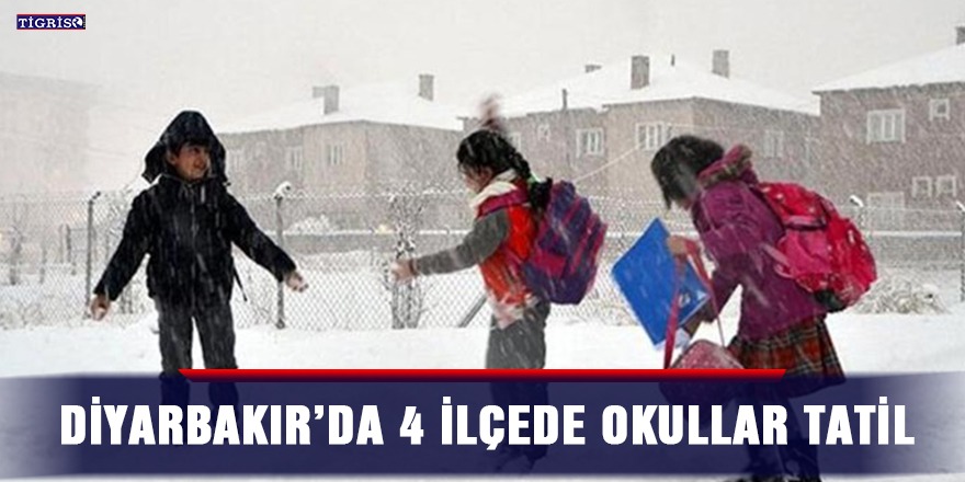 Diyarbakır’da 4 ilçede okullar tatil