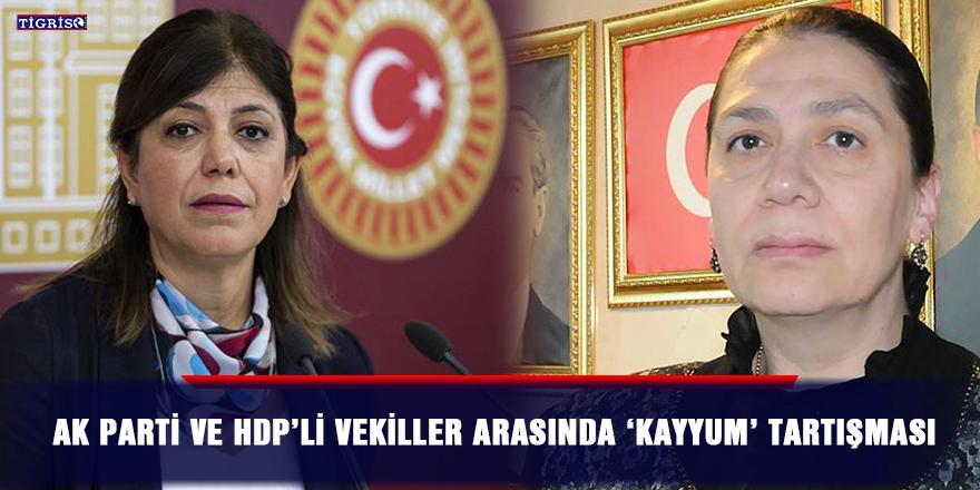 VİDEO - AK Parti ve HDP’li vekiller arasında ‘kayyum’ tartışması