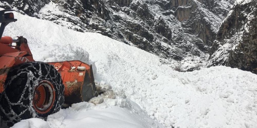 Batman’da çığ düştü, köy yolu ulaşıma kapandı