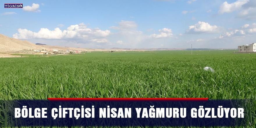 Bölge çiftçisi Nisan yağmuru gözlüyor