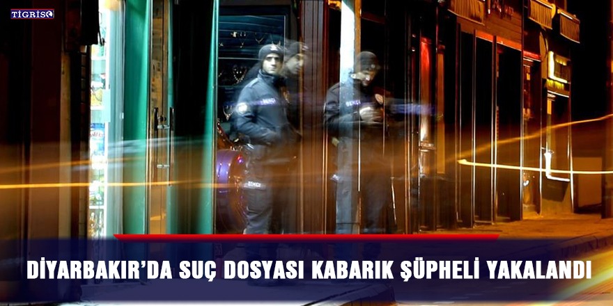 Diyarbakır’da suç dosyası kabarık şüpheli yakalandı