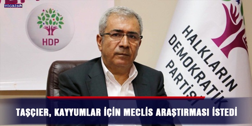 Taşçıer, kayyumlar için meclis araştırması istedi