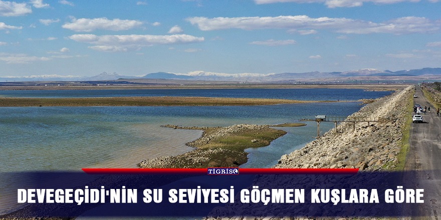 Devegeçidi'nin su seviyesi göçmen kuşlara göre