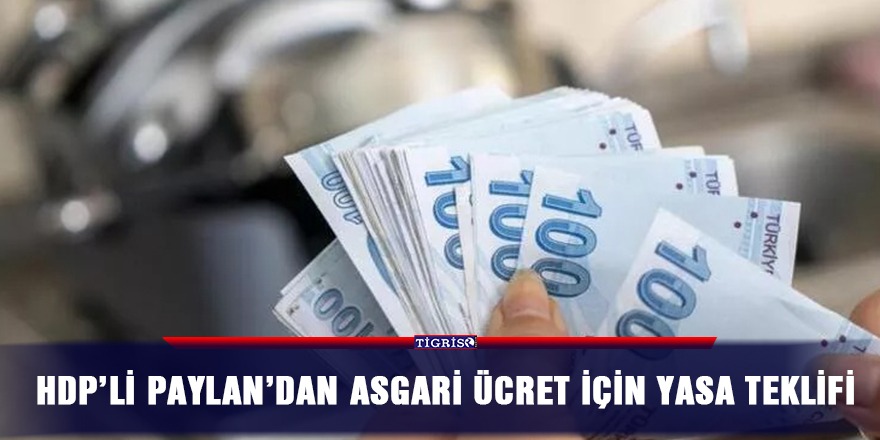 HDP’'den asgari ücret için yasa teklifi
