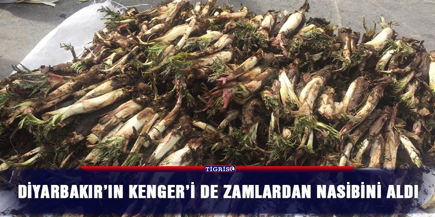 Diyarbakır’ın Kenger’i de zamlardan nasibini aldı