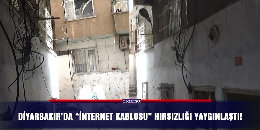 Diyarbakır’da 'internet kablosu' hırsızlığı yaygınlaştı!