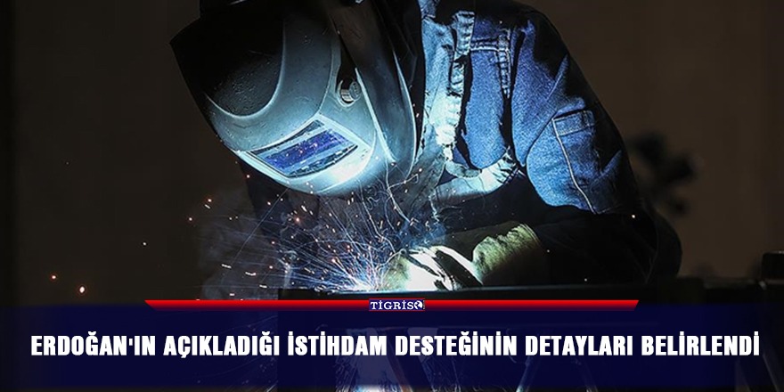 Erdoğan'ın açıkladığı istihdam desteğinin detayları belirlendi