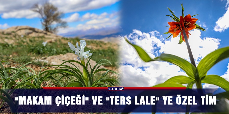 Diyarbakır’ın endemik bitkileri koruma altına alındı