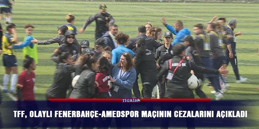TFF, olaylı Fenerbahçe-Amedspor maçının cezalarını açıkladı