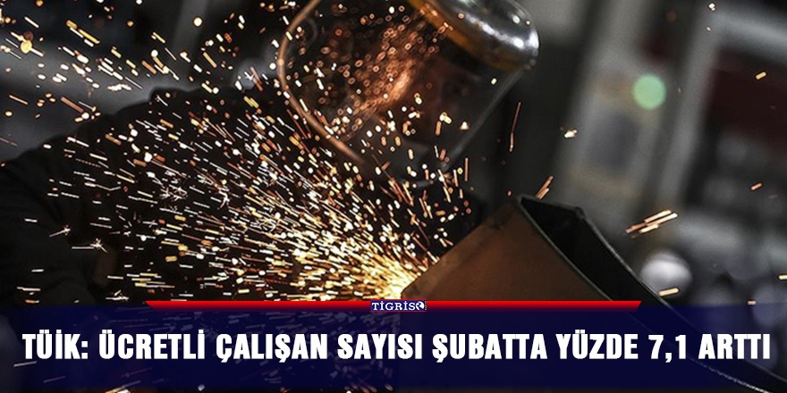 TÜİK: Ücretli çalışan sayısı şubatta yüzde 7,1 arttı