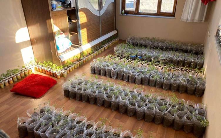 Van’da uyuşturucudan gözaltı