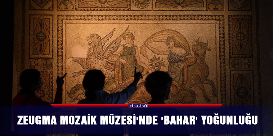 Zeugma Mozaik Müzesi'nde 'bahar' yoğunluğu