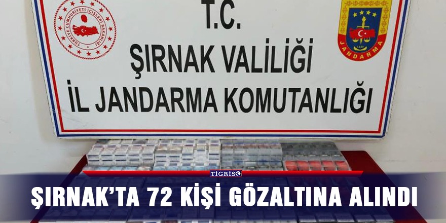 Şırnak’ta 72 kişi gözaltına alındı