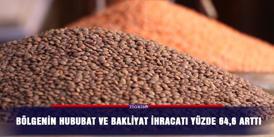 Bölgenin hububat ve bakliyat ihracatı yüzde 64,6 arttı