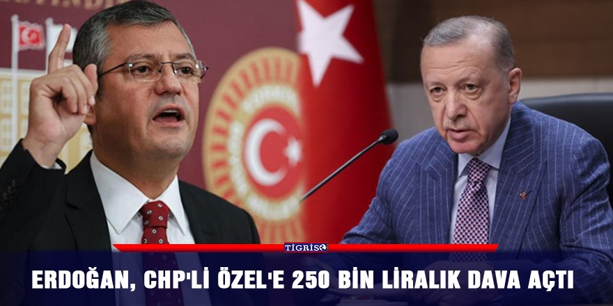 Erdoğan, CHP'li Özel'e 250 bin liralık dava açtı