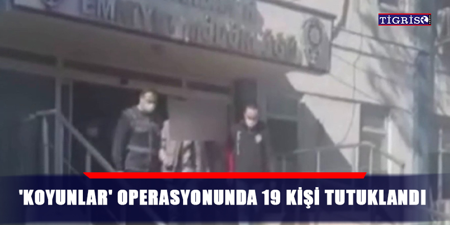 'Koyunlar' operasyonunda 19 kişi tutuklandı