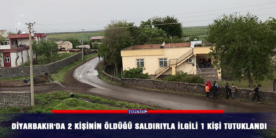 Diyarbakır'da 2 kişinin öldüğü saldırıyla ilgili 1 kişi tutuklandı