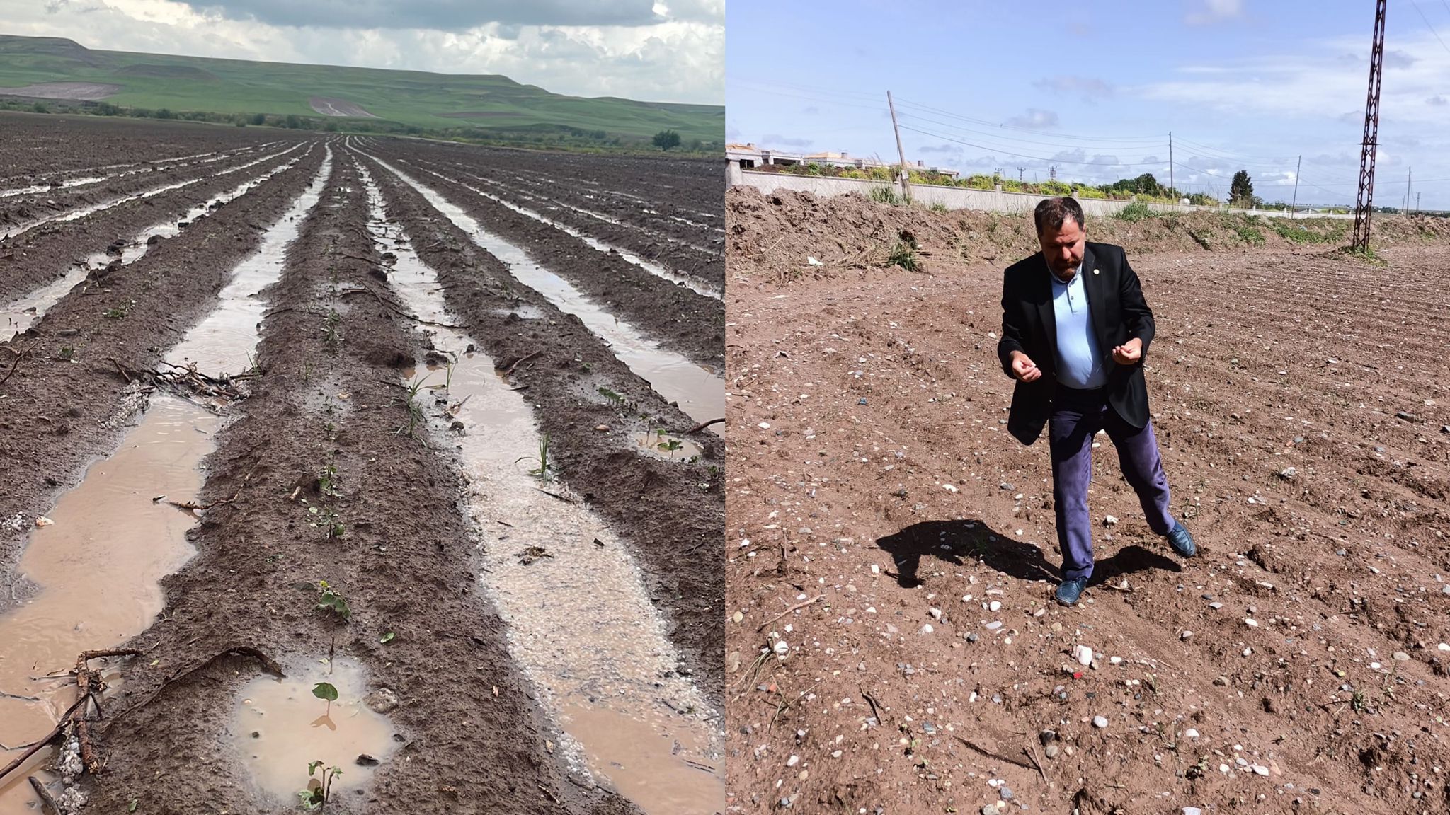Diyarbakırlı çiftçiler Erdoğan’dan mazot ve tohum desteği istedi