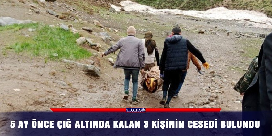 5 ay önce çığ altında kalan 3 kişinin cesedi bulundu