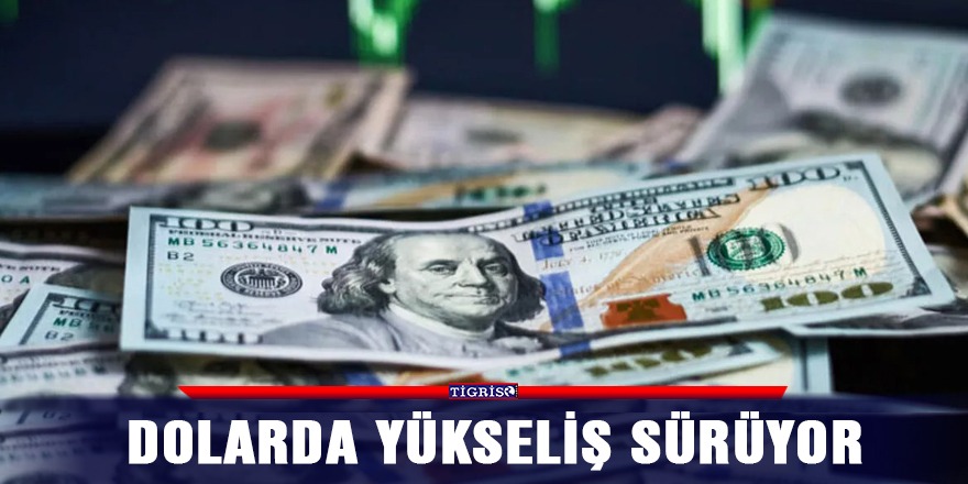 Dolarda yükseliş sürüyor