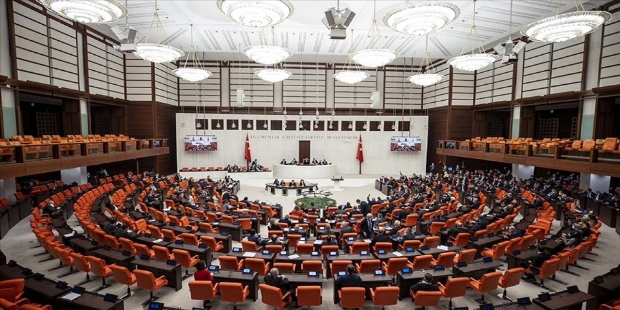 Kadına ve sağlık çalışanlarına yönelik şiddetle ilgili düzenleme TBMM'de kabul edildi