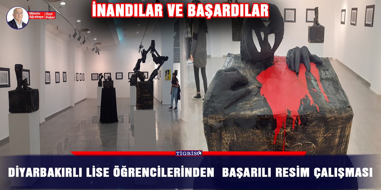 VİDEO - Diyarbakırlı lise öğrencilerinden başarılı resim çalışması