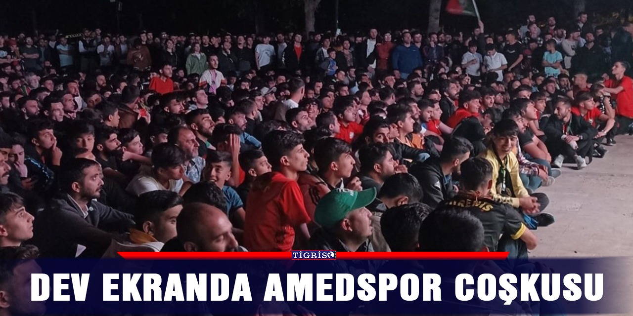 Dev ekranda Amedspor coşkusu