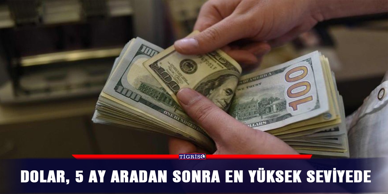 Dolar, 5 ay aradan sonra en yüksek seviyede