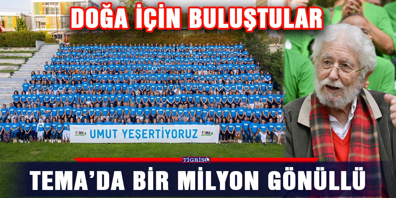 TEMA’da bir milyon gönüllü: Doğa için buluştular