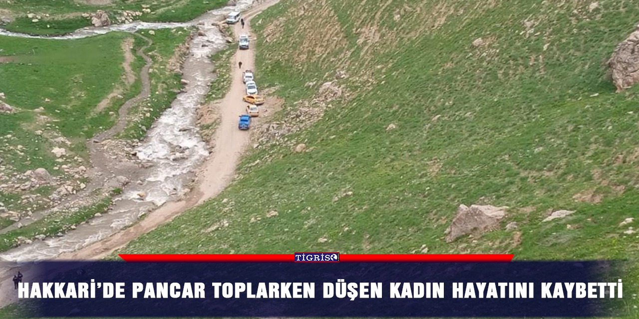 Hakkari’de pancar toplarken düşen kadın hayatını kaybetti