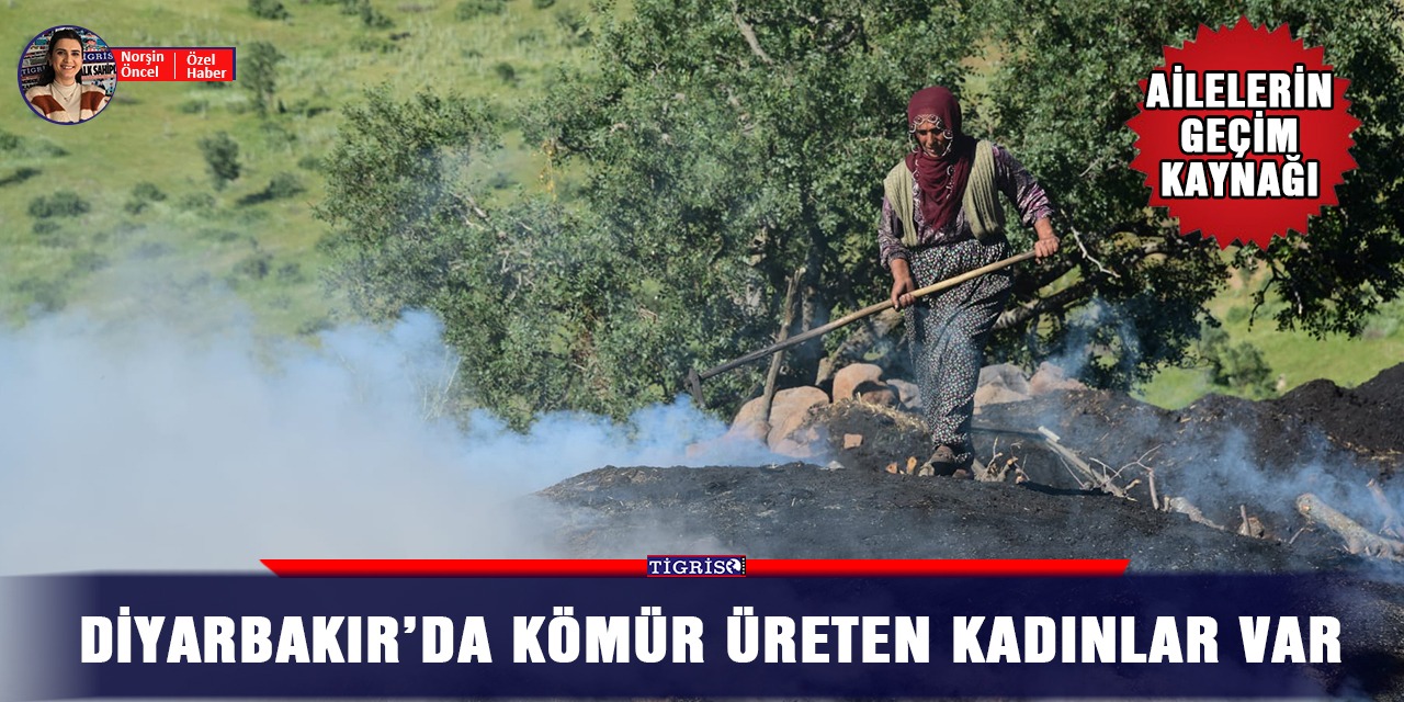 Diyarbakır’da kömür üreten kadınlar var