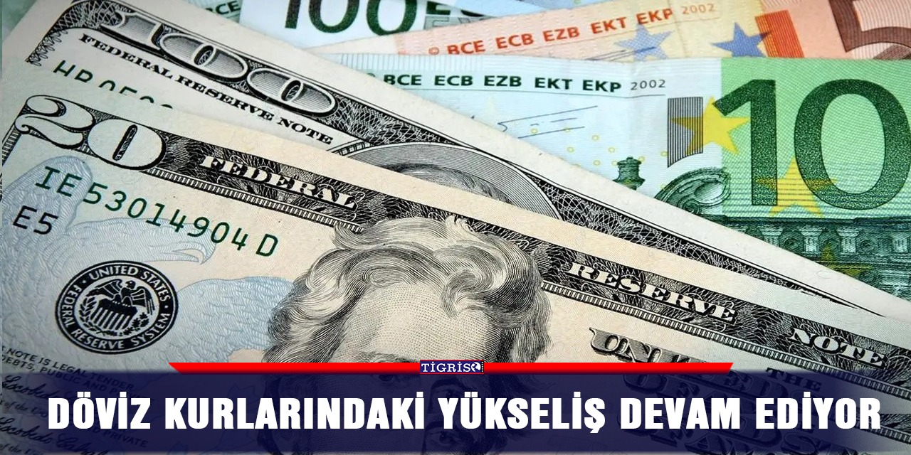 Döviz kurlarındaki yükseliş devam ediyor