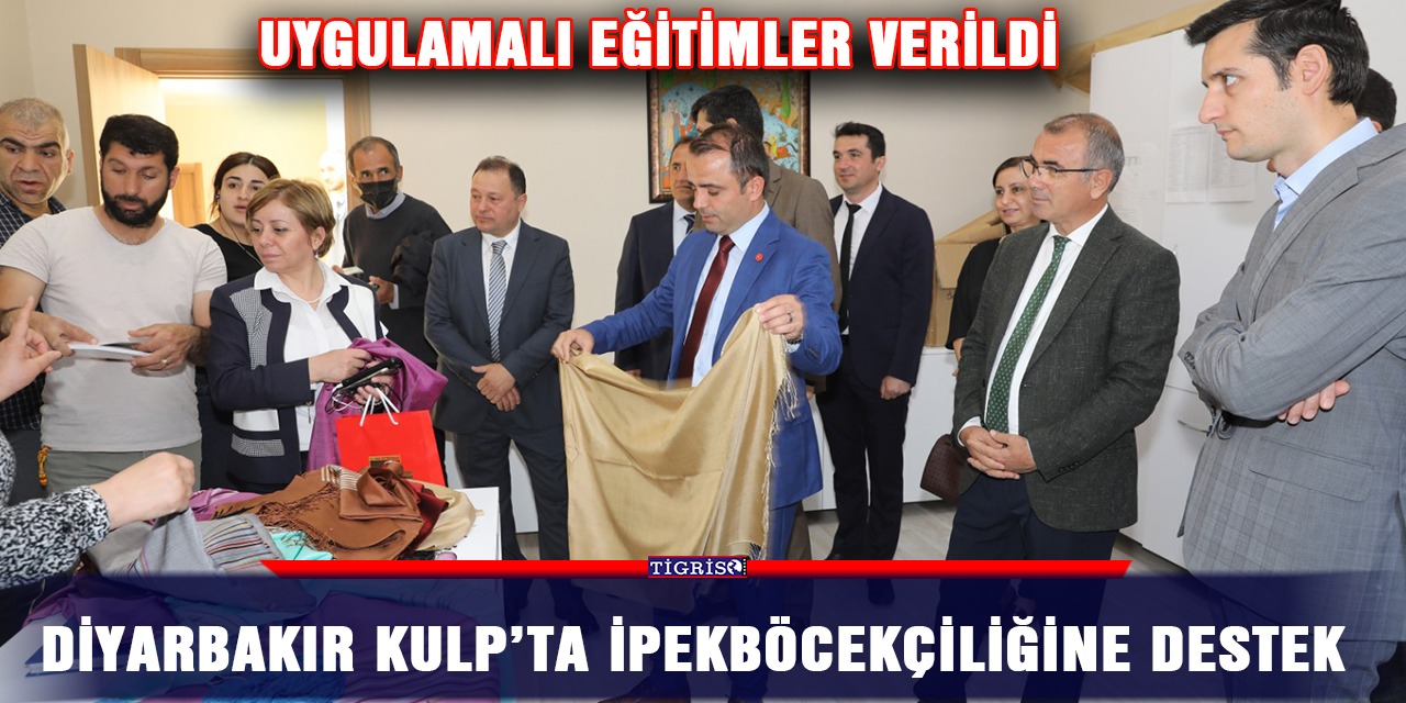Diyarbakır Kulp’ta ipekböcekçiliğine destek