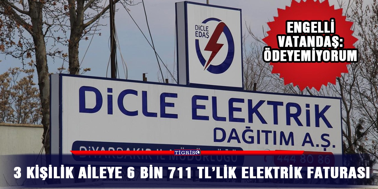 3 kişilik aileye 6 bin 711 TL’lik elektrik faturası