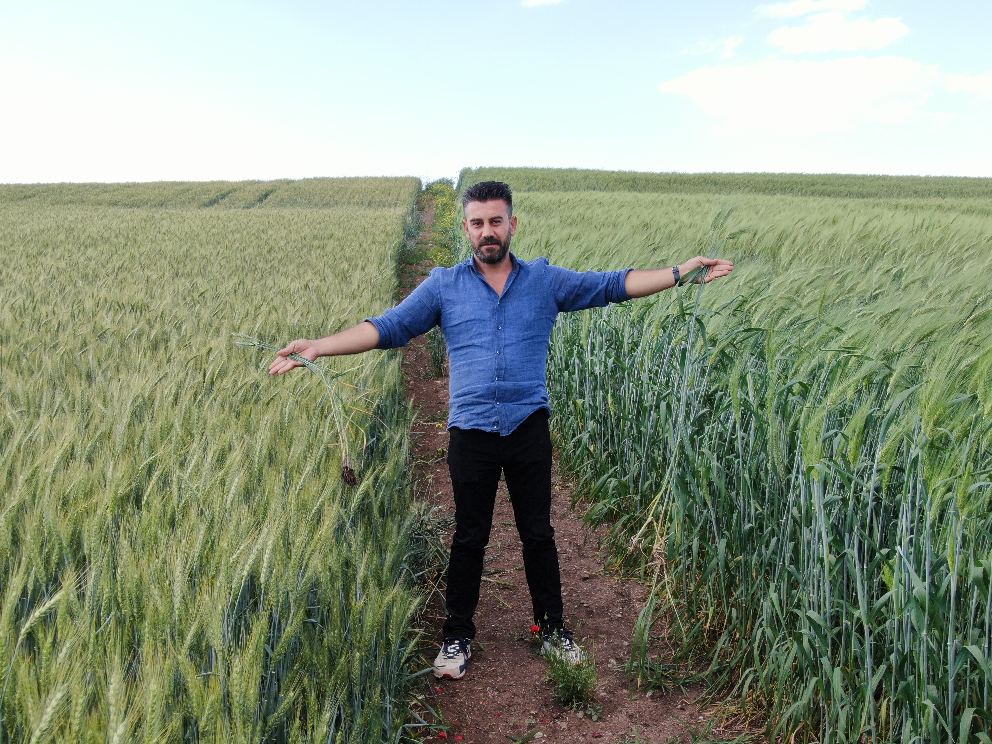 Diyarbakır’da 7 bin yıllık Siyez buğdayının üretimine başlandı