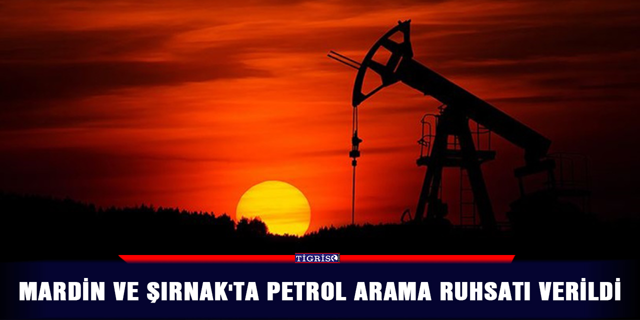 Mardin ve Şırnak'ta petrol arama ruhsatı verildi