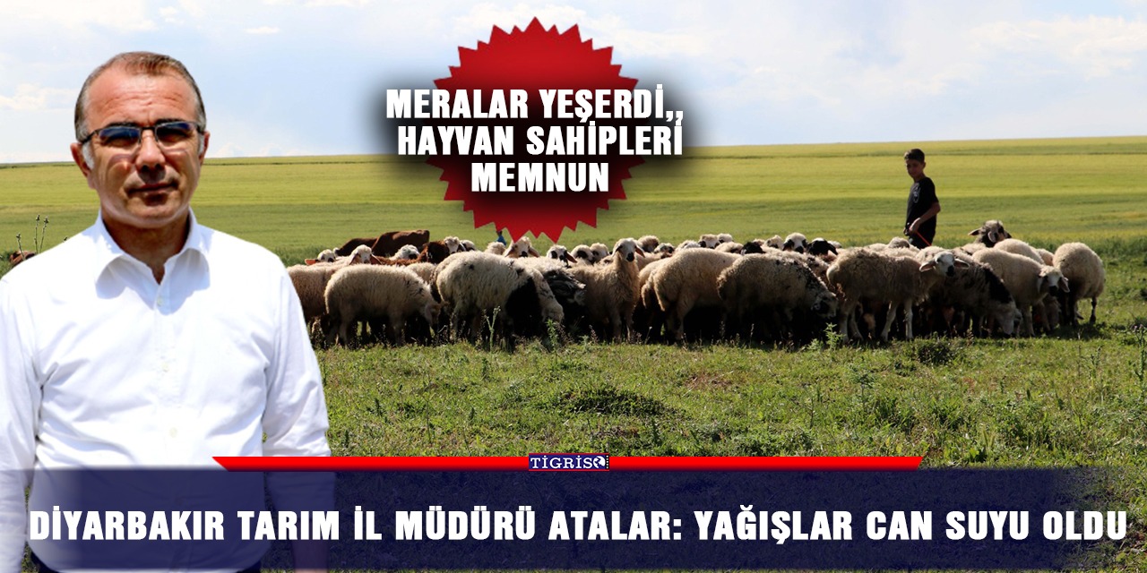 Diyarbakır Tarım İl Müdürü Atalar: Yağışlar can suyu oldu