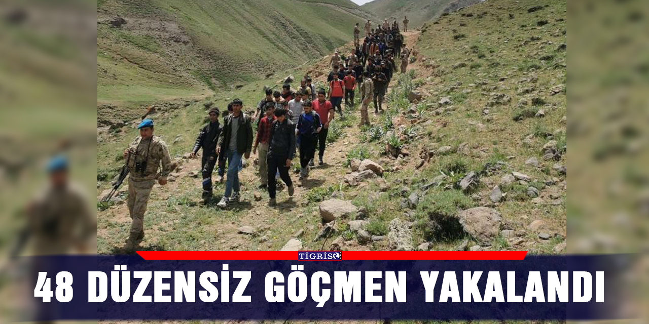 48 düzensiz göçmen yakalandı